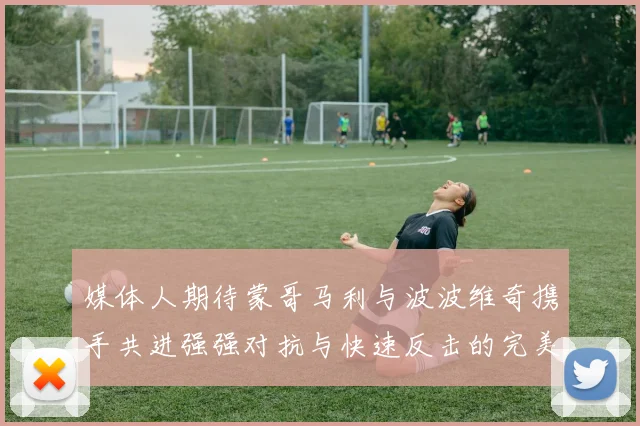 媒体人期待蒙哥马利与波波维奇携手共进强强对抗与快速反击的完美结合